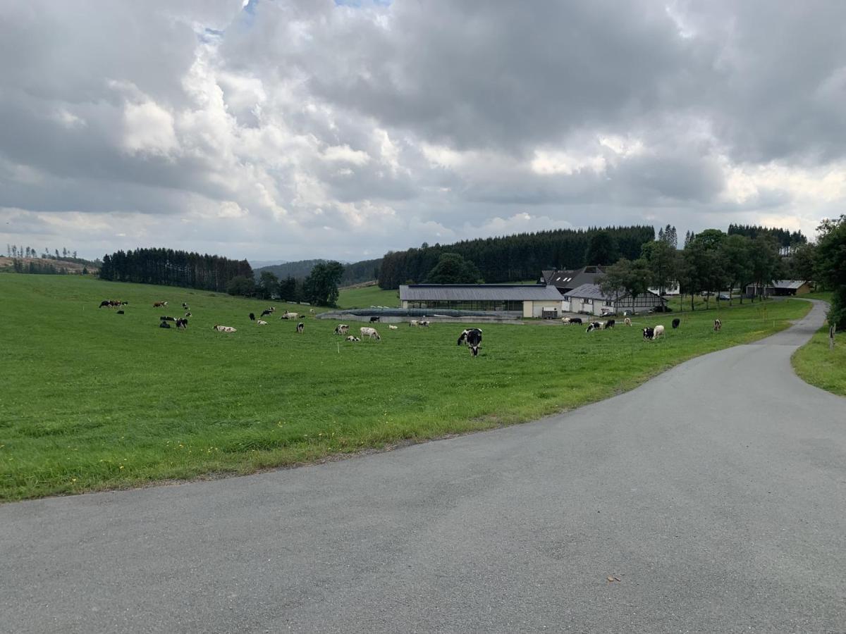 Pension Wittgensteiner Schweiz Bad Berleburg Exterior foto